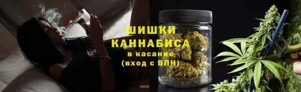 прущие грибы Алексин