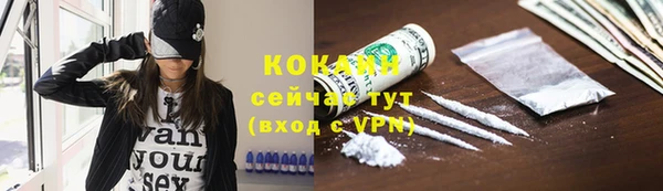 соль ск Алзамай