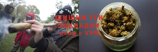 прущие грибы Алексин
