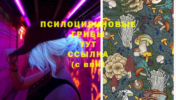 прущие грибы Алексин