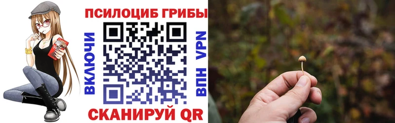 Купить  Мончегорск  Псилоцибиновые грибы ЛСД 
